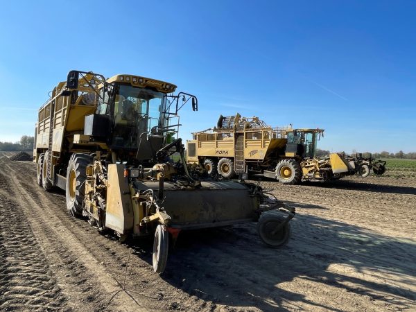 Ropa Euro Tiger sugar beet harvester - Image 43