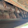 IMG_0406